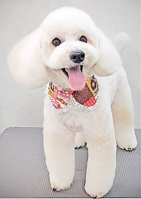 長谷ラナちゃん