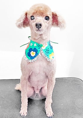 瀬戸口ルイちゃん