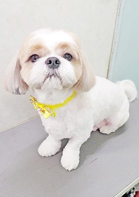 榊原もちちゃん