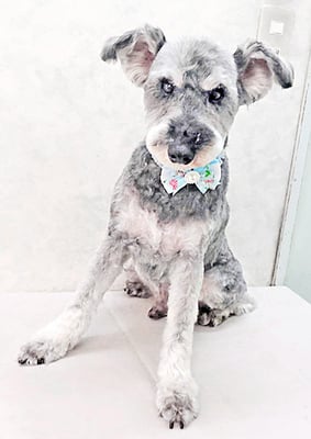 西野来斗ちゃん