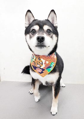 岩﨑レイちゃん