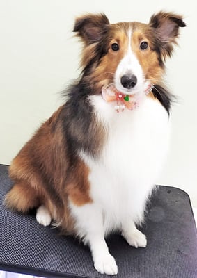 國生レイラちゃん