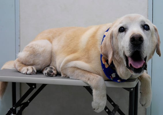 平松マックスちゃん