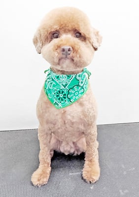 山元風介ちゃん