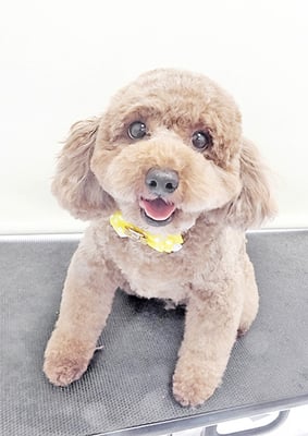 赤崎ノアちゃん