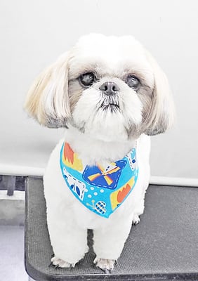 久永ナルちゃん