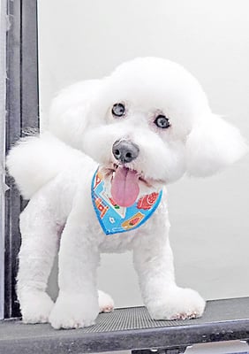 川西ずん太ちゃん