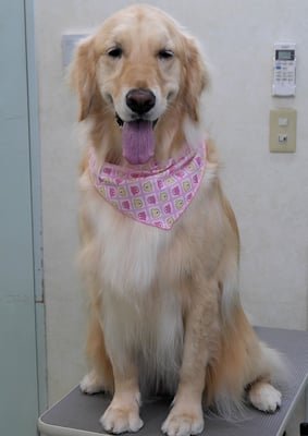 美代ジューンちゃん