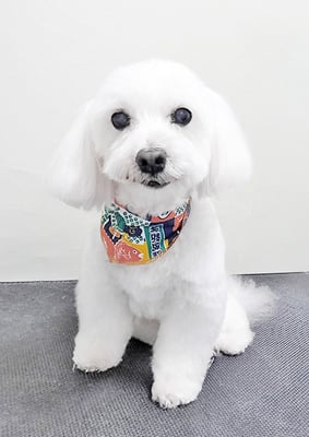 山口ふうたちゃん