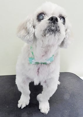 山本サランちゃん