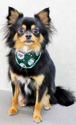 片川ヒナタちゃん