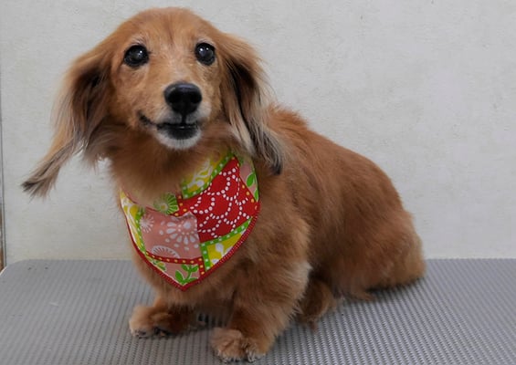 北川ももちゃん