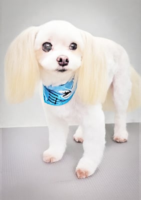 大脇ココアちゃん