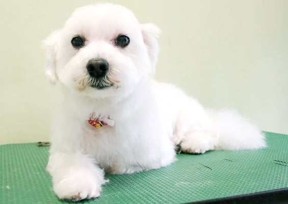 山口フウタちゃん