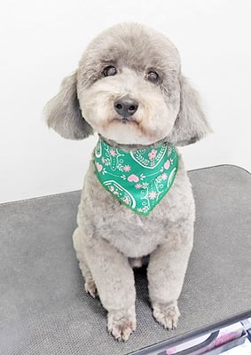 橋口最中ちゃん