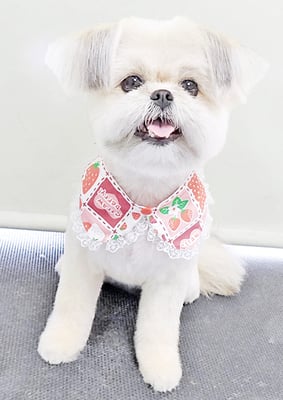 太崎ちゅらちゃん