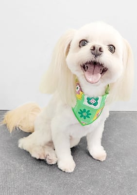 大脇ココアちゃん