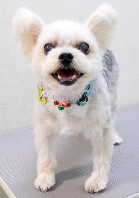 岡元ベリーちゃん