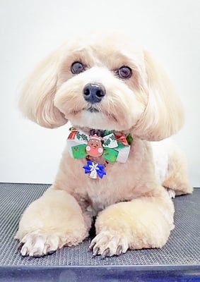 平松レオンちゃん