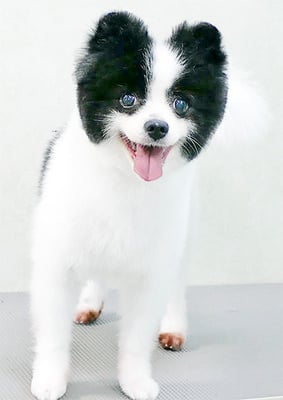 森崎マリアンちゃん