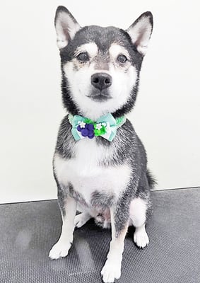 岩﨑レイちゃん