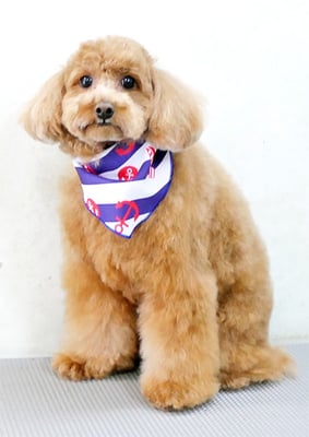 森田諭吉ちゃん