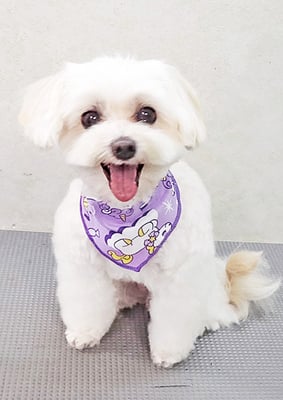 濱島クレアちゃん