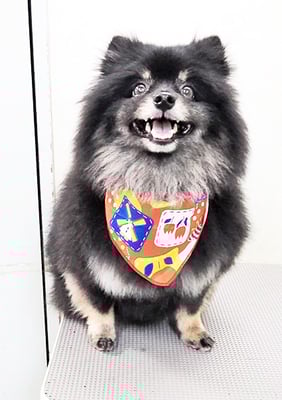 福山ポパイちゃん