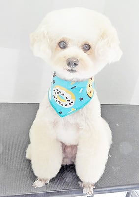 山村レオンちゃん