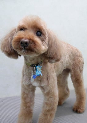 米澤ここみちゃん