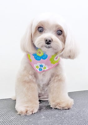 永濱サラちゃん