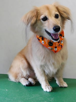 江口エルちゃん