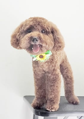 青山弦之介ちゃん