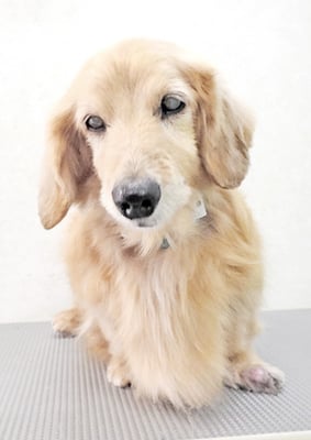 湯田ハヤテちゃん