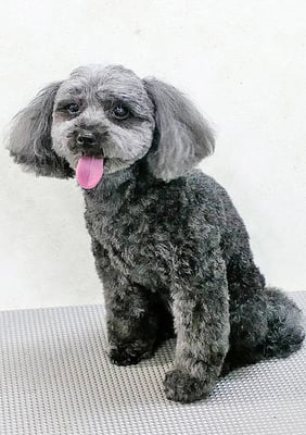 森崎ラブちゃん