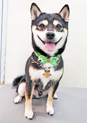 岩崎レイちゃん