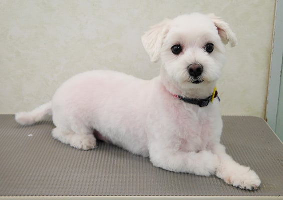 山口フウタちゃん