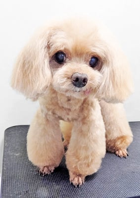 佐藤クルミちゃん