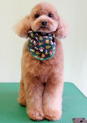 森田諭吉ちゃん