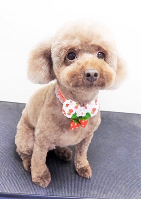 小野原モアちゃん