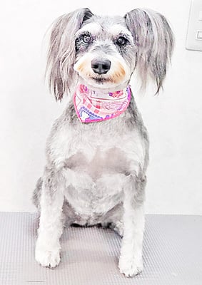 迫田プーちゃん