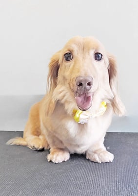 前薗パルちゃん