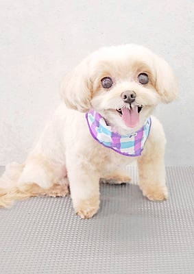 永濱サラちゃん