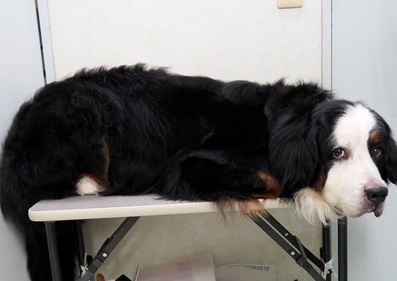 重野エドちゃん