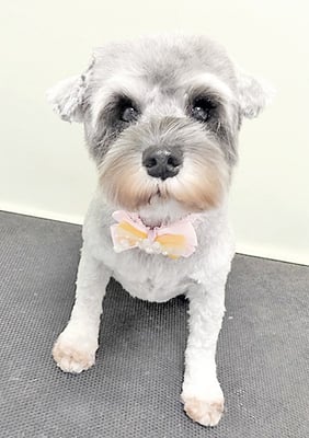 新田つむぎちゃん