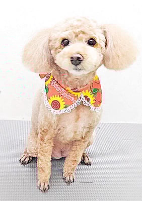 富永モカちゃん