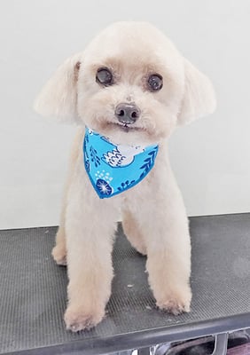 野口ティガちゃん