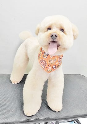 藤久保くうたちゃん