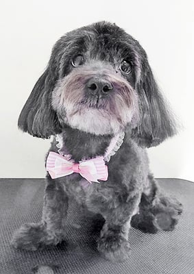 竹本ティアラちゃん