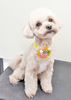 南雲マルちゃん